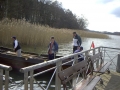 Bild009.jpg