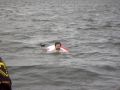 Bild063.jpg