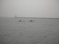 Bild009.jpg