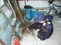 PICT0014.JPG