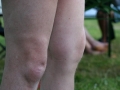 IMG_0627.JPG