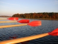 IMG_1657.JPG