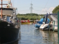 IMG_4232.JPG