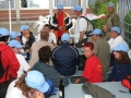 IMG_2592.JPG