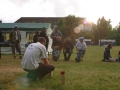 IMG_2680.JPG