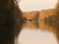 IMG_5722.JPG