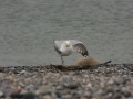IMG_9389.JPG