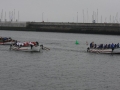 IMG_9520.JPG