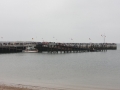 IMG_9601.JPG