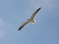 IMG_9947.JPG
