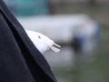 aIMG_4216.jpg