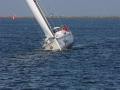 IMG_5887.JPG
