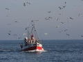 IMG_6020.JPG