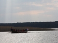 IMG_7335.JPG