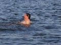 IMG_0853.JPG