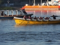 IMG_6901.JPG