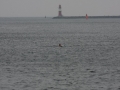IMG_7479.JPG