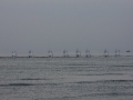 IMG_4227.JPG